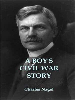 cover image of A Boy's Civil War Story